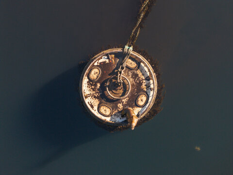 Aerial view of a sea lion resting on a weathered navigational buoy floating in the dark water of Unalaska, Alaska, United States.