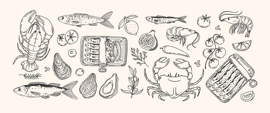 Seafood. Mediterranean food. Hand drawn lineart lobster, crab, sardine, canned fish, oyster, shrimp, spice, tomato. Doodle dolce vita style for cafe menu, poster. Vector set