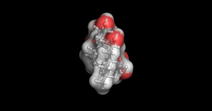 Prostaglandin E2 (Dinoprostone), naturally occurring prostanoid hormone regulating inflammation, smooth muscle contraction, and cervical ripening during labor, 3D molecule spinning, 4K