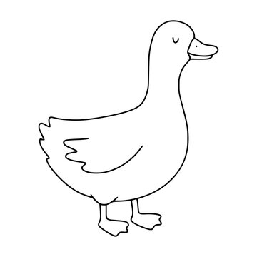 Duck outline drawing for children coloring page