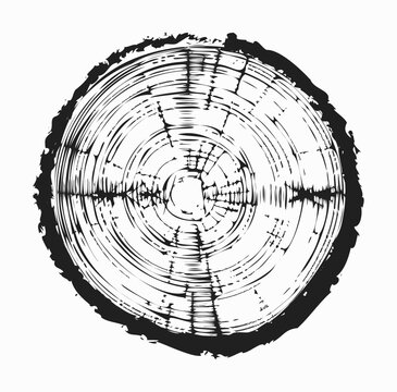 Tree trunk cut texture, wood slice annual rings vector pattern