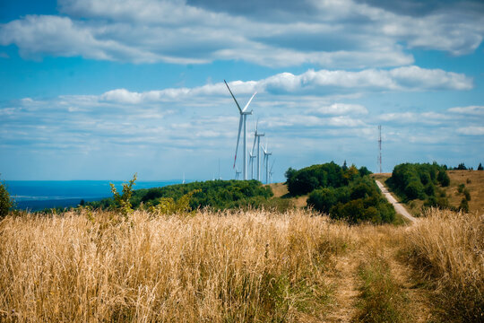 wind turbines in the field