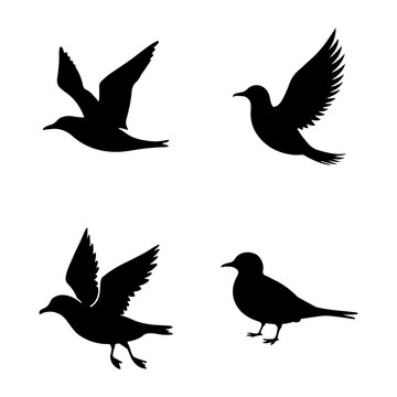 Bird Silhouette Collection &ndash; Flying and Standing Bird Shapes