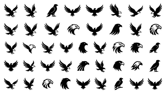 Comprehensive collection of black eagle and falcon silhouettes showcasing various dynamic poses, soaring flights, aggressive dives, and detailed head profiles in a striking vector design set