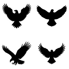 Fototapeta premium Eagle Silhouette Collection – Flying and Soaring Birds