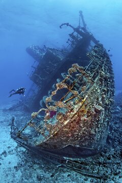 Diver exploring stern at shipwreck Giannis D, also timber freighter, launched in 1969 as Shoyo Maru in Japan, sank on 19.04.1983 due to navigation errors on Shab Abu Nuhas coral reef, Red Sea, Egypt