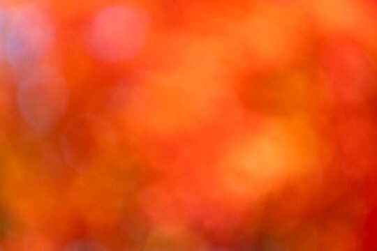 Blur backdrop. Orange fall background. Defocused blur bright orange. Blurred autumn background. Backdrop blurred fall. Blurry autumn backdrop. Blurred orange background. Defocused blurry autumn