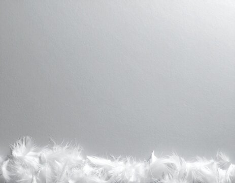 White fluffy feathers forming a soft border along the bottom of a pale grey background, gentle abstract backdrop