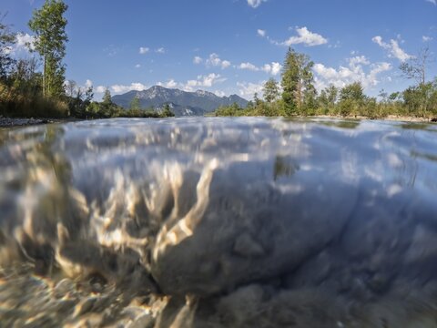 River, water, stones, underwater picture, trees, sun, summer, Loisach, Gro&szlig;weil, Alpine foothills, Bavaria, Germany