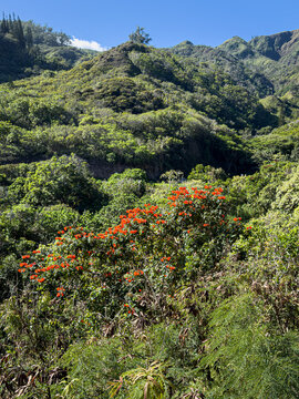 Over the top of Maui to Kahului