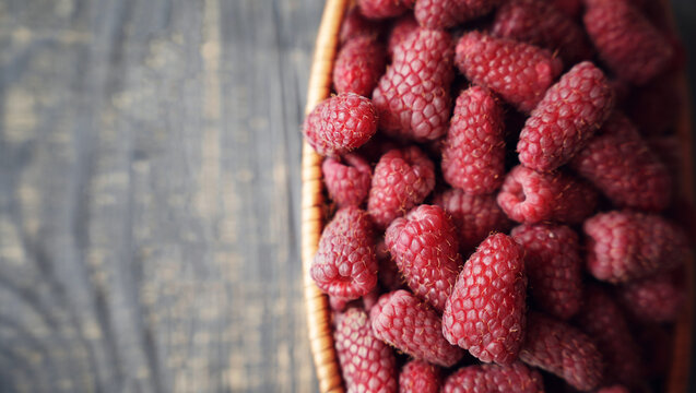 Fresh organic raspberries on wooden table background, food blogging, healthy eating concepts, and seasonal summer harvest themes. Small Farm food	