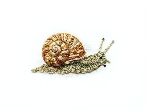 Slow-moving garden snail with spiral shell and extended body on white