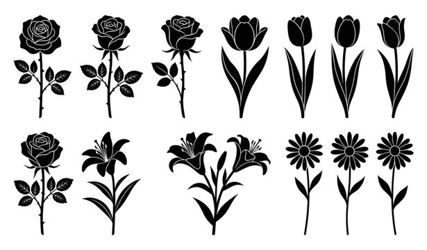 Black Floral Silhouette Collection with Roses Tulips Lilies and Daisies