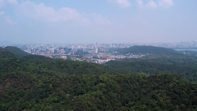 A panoramic view of thick green forests in the foreground, with a distant urban cityscape under a clear blue sky.