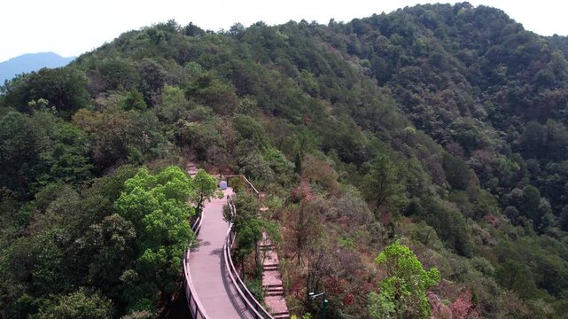 An elevated winding path cuts through a lush, dense forest covering a rolling mountain landscape, with distant peaks visible under a bright sky.