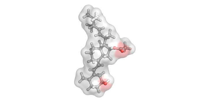 Calciferol acetate, stable Vitamin D derivative used as a nutritional supplement and calcium regulator, 3D molecule 4K