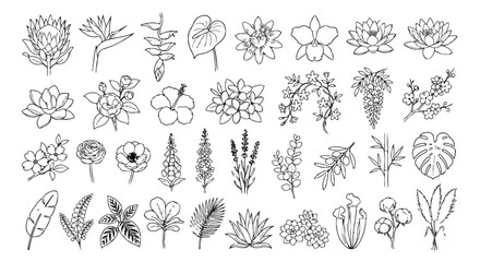 Fototapeta premium Minimalist tropical flower line art set, 32 botanical floral icons, hand drawn exotic plant vector illustrations for wedding branding