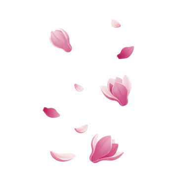 Diverse pink magnolia petals gently falling and scattered across a transparent background with subtle shadows, in a clean vector style, evoking serene spring elegance