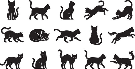 Obraz premium Black Cat Black cats in various poses and movements