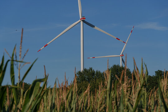 Windr&auml;der im M&uuml;nsterland