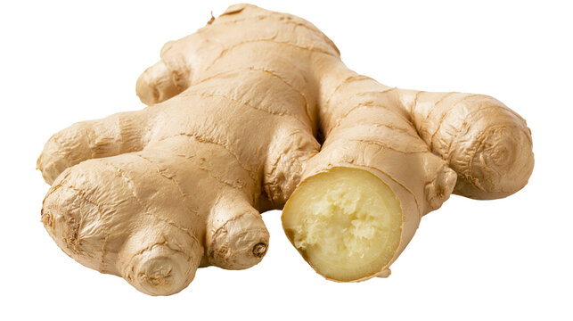 Raw ginger root with a cut slice showing fibrous texture, isolated on transparent background