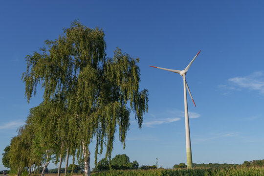Windr&auml;der im M&uuml;nsterland