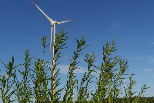 Windr&auml;der im M&uuml;nsterland