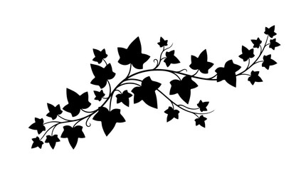 Ivy vine silhouette against a white background displays delicate foliage © Creator Rima Akter
