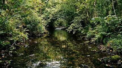 Fototapeta premium Scenic Lush Green Forest Stream with Crystal Clear Water Flowing Through Dense Foliage and Smooth Mossy Rocks