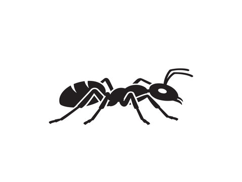 Black ant icon silhouette. Simple insect graphic for pest control or nature design.