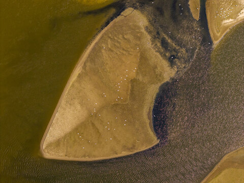 Aerial view of sandbanks and low water levels caused by a heat wave in a river, with small white birds scattered across the exposed sandy terrain in Poland.