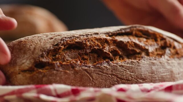 Bread assortment, mixed Spanish baguette loaves from Barcelona bakery, close-up macro shot showing crumb texture