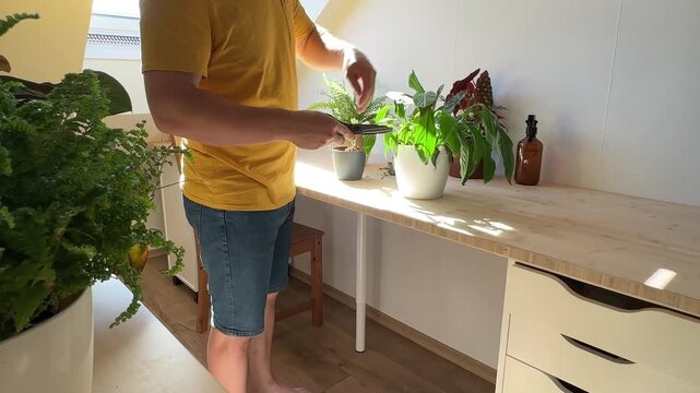 Man watering a houseplant with a watering can at home