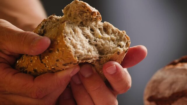 Bread assortment, mixed Spanish baguette loaves from Barcelona bakery, close-up macro shot showing crumb texture
