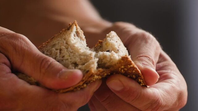 Bread multigrain loaf held in hands, whole wheat seeded crust with millet and seeds, close-up macro shot