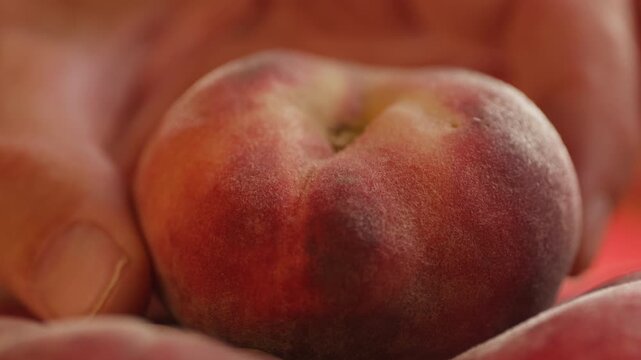 Nectarine or peach fruit, fresh Spanish red nectarine, peaches stacked on wooden table with red background
