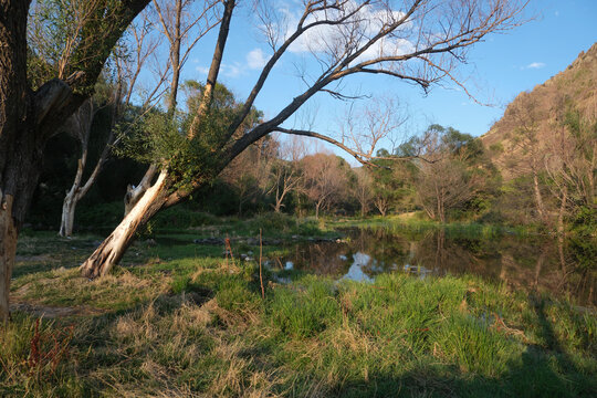 Lush wetlands, trees, and silence.