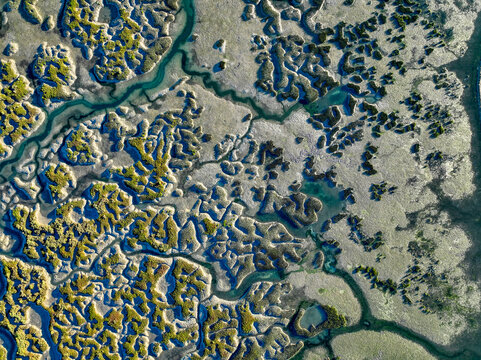 Aerial view of the intricate tidal channels and salt marshes of the Ria Formosa, showcasing winding waterways and vibrant green vegetation in Faro District, Portugal.