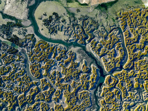 Aerial view of the intricate tidal channels and salt marshes of the Ria Formosa lagoon system in Faro District, Portugal.