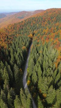 Aerial view of an autumn mountain road. Vertical video