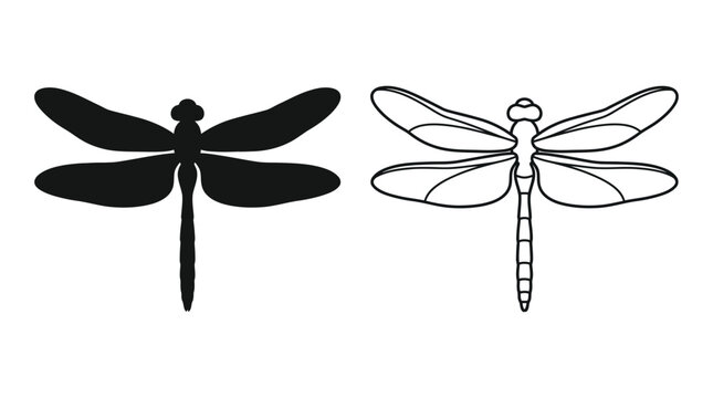 Dragonfly silhouettes and line art on a white background