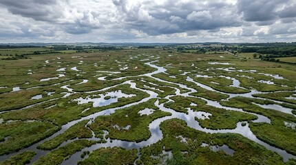 Naklejka premium Aerial View of Meandering Water Channels Through Lush Green Marshland Wetlands Under a Dramatic Cloudy Sky Landscape