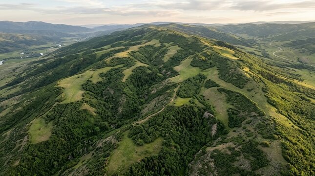 Majestic aerial landscape of green mountain slopes and forest ridges with a winding road through the wilderness valley