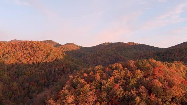 Flying over vibrant autumn colors at sunrise in the Blue Ridge Mountains of North Carolina
