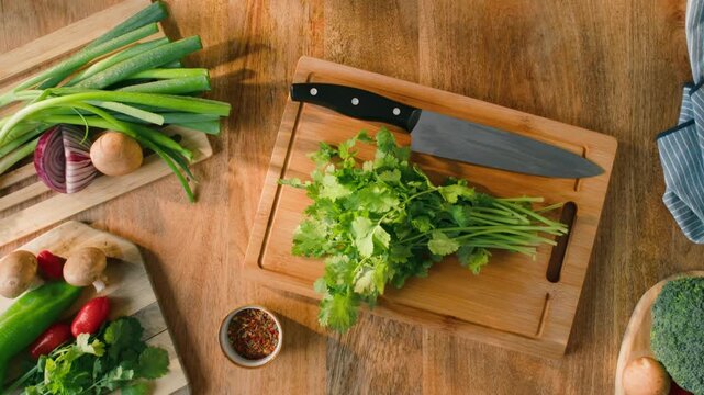 Cilantro parsley close up cut cutting coriander greens with knife aromatic texture macro traditional Asian and Mexican cuisine herb studio shot 
