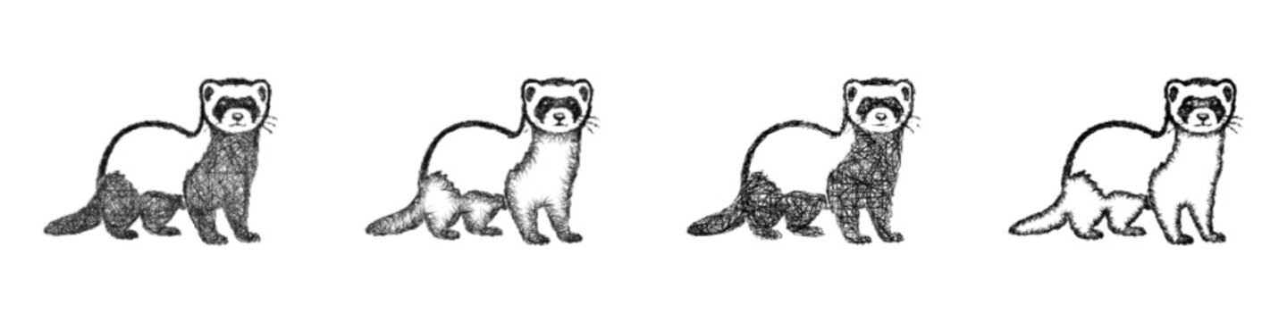 Black and white sketch ferret icon design set