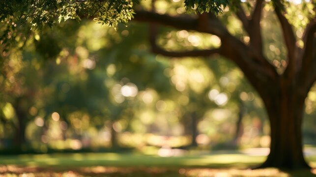 Soft-focus tree in a serene outdoor scene with bokeh garden backdrop