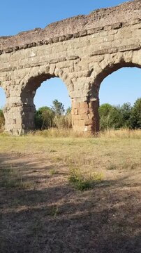 Vibrant Yellow Flowers Ancient Stone Arches
