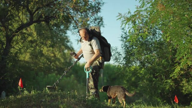 Experienced treasure hunter with metal detector scans the ground for hidden items in a grassy area, accompanied by a dog, with red flags indicating search spots, surrounded by lush trees