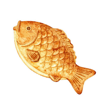 Taiyaki Fish Shaped Cake Viewed From Above Showing Moulded Scales and Batter Frill